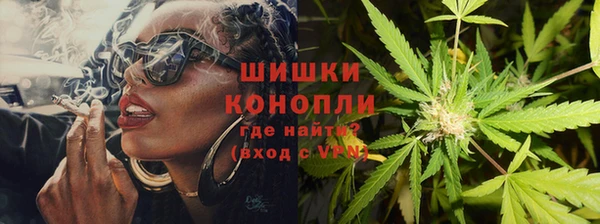 прущие грибы Верхнеуральск
